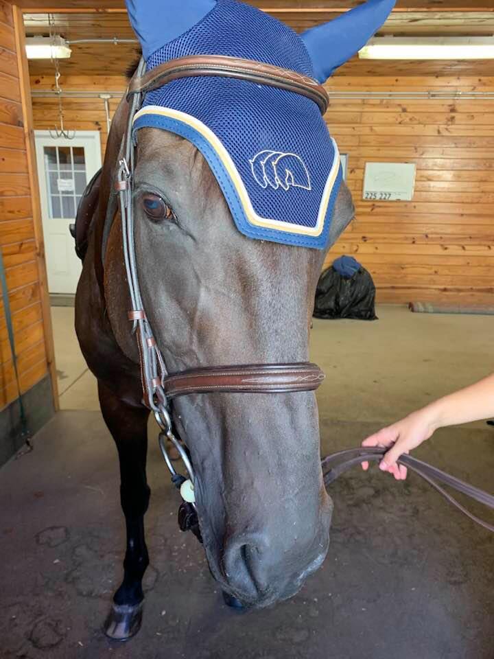 Navy Bonnet with Tan and White Piping with Embroidery