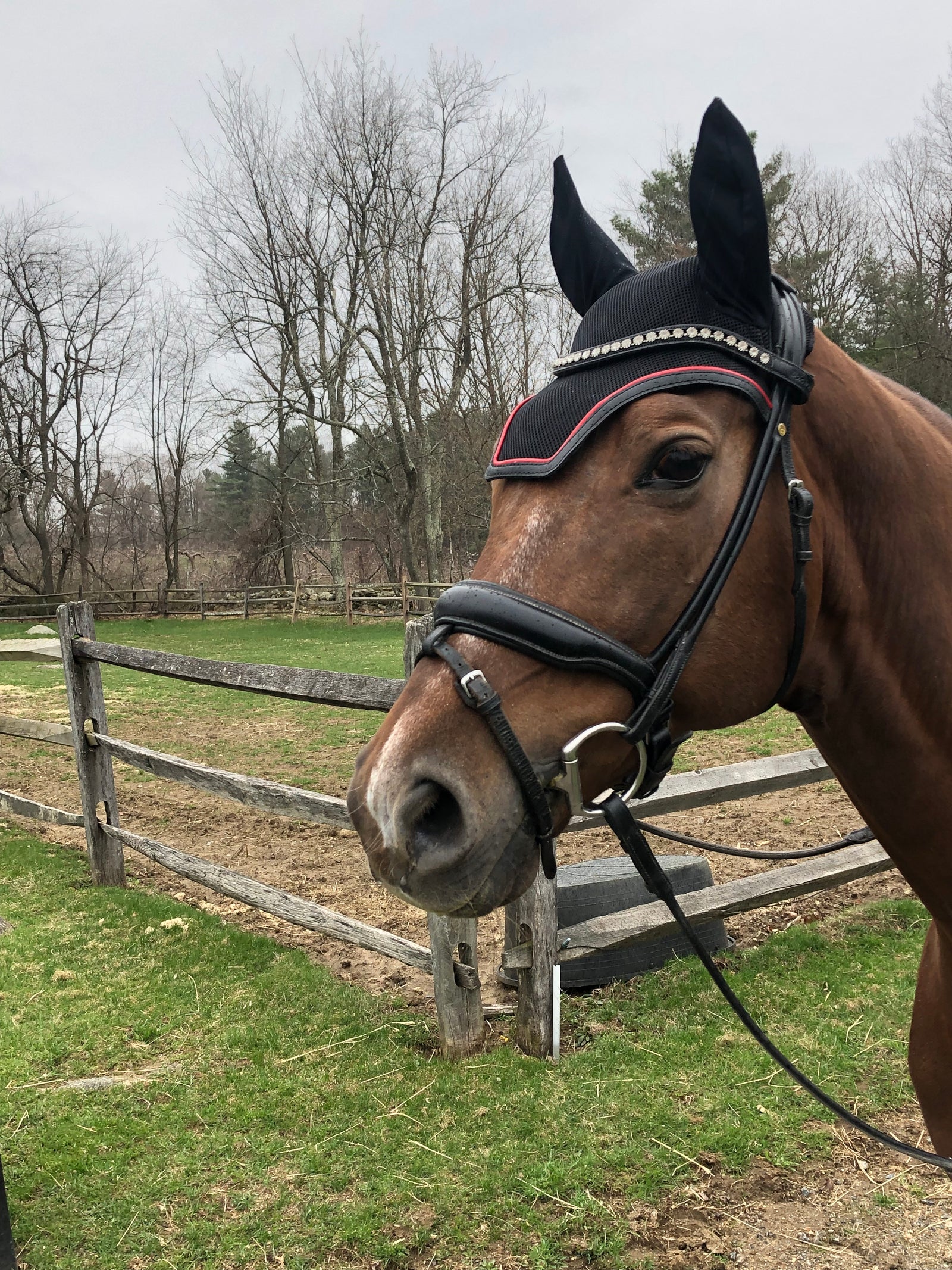 Black bonnet with Red Piping
