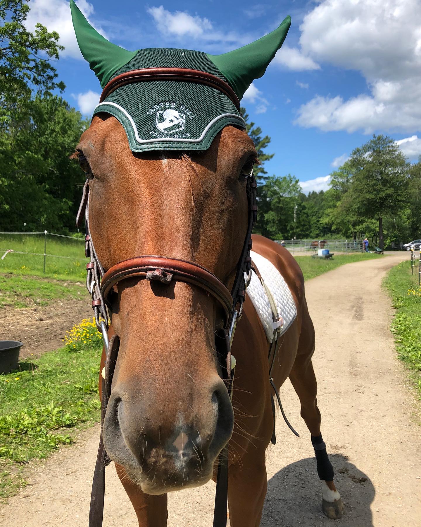 Hunter Green Bonnet with White Piping and Embroidery